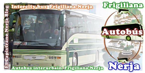 「フリヒリアナ」徹底ガイド 【旅の大事典】