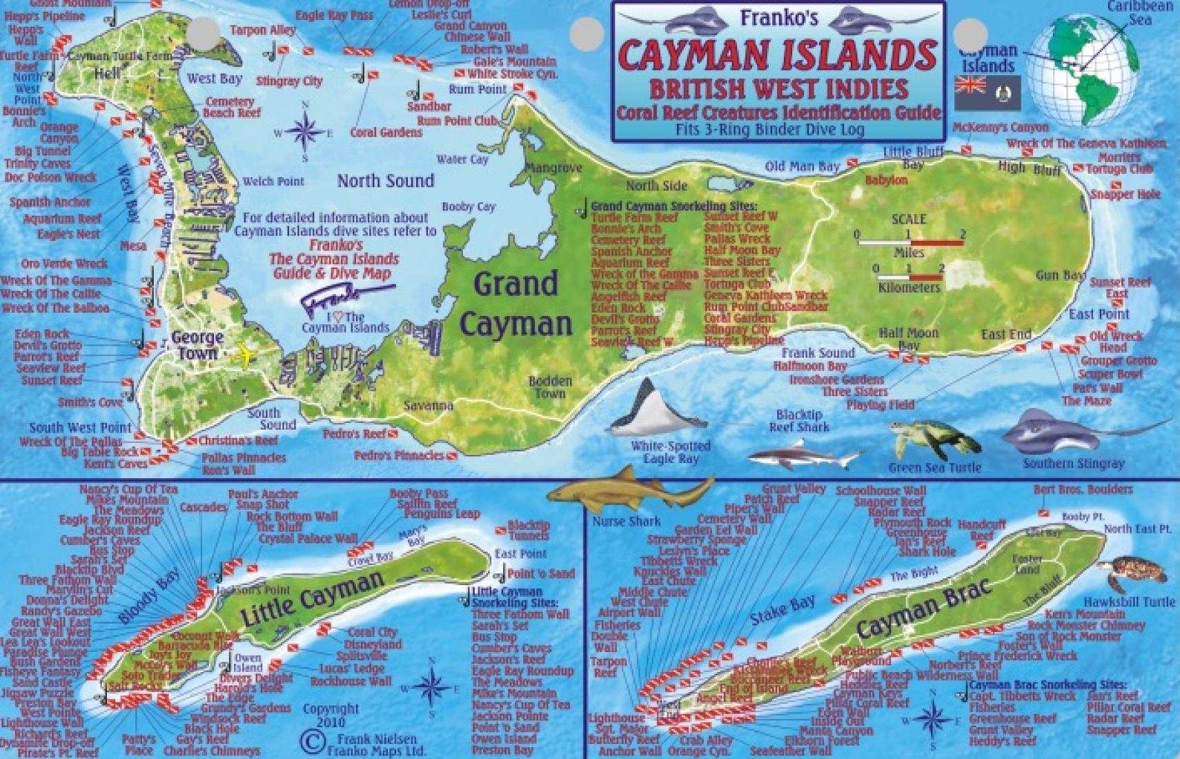 ケイマン諸島の見どころ