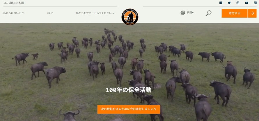 「ニーラゴンゴ火山②火口への登山」徹底ガイド 【旅の大事典】