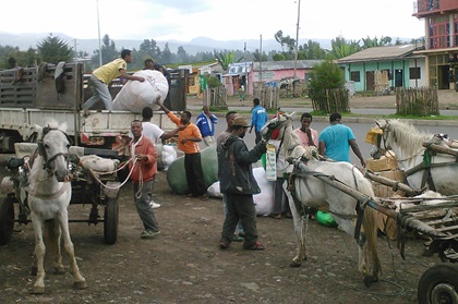 バレマウンテン国立公園へのアクセスと見どころ