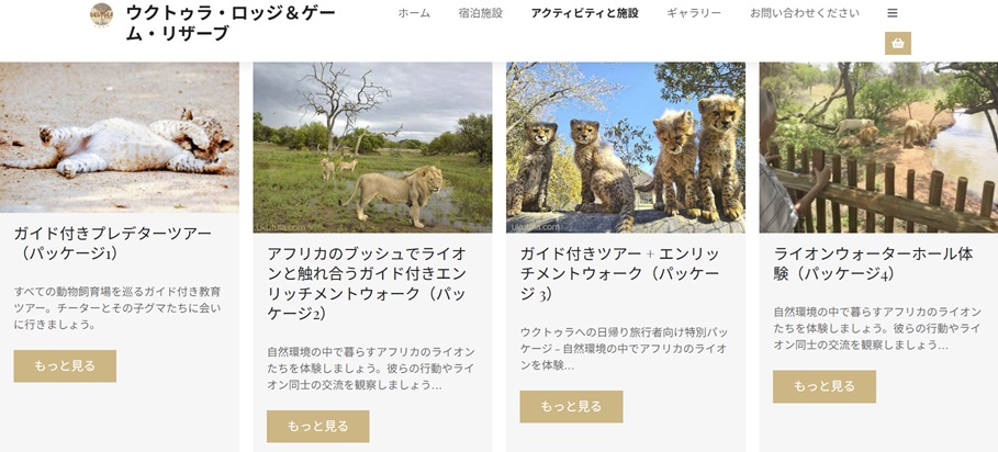 「南アフリカの直接動物と触れ合える場所３選」徹底ガイド 【旅の大事典】