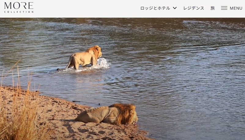 「南アフリカのすごいホテル３選」徹底ガイド 【旅の大事典】